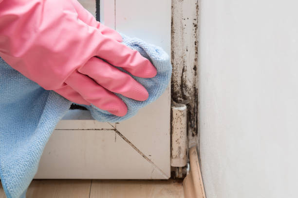 Mold Remediation for Rental Properties in Premont, TX